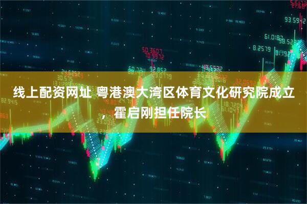 线上配资网址 粤港澳大湾区体育文化研究院成立，霍启刚担任院长